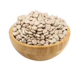ترمس بلدى